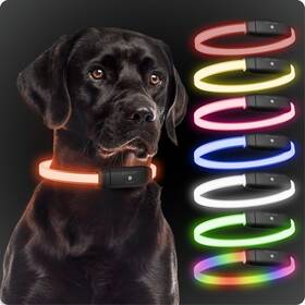 Paj Gps 262511250114 Light Glowing Led Collar For Dogs Cut-to-fit