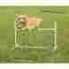 Pdt00-11031 Jump Petsafe Bar 3.5 30 Backyard Agility Playset 729849110311