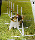 Pdt00-11032 Poles Petsafe Agility Training Weave Dog Box