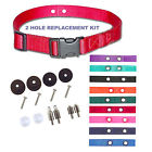 Petsafe Accessory Refresh Rfa 529 3 4 Replacement Collar Holes 1 5 8 Apart 647369579831