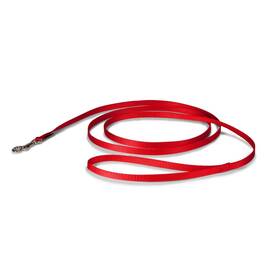 Petsafe Lsh-3/8-x-6-red Nylon Dog Leash Strong Durable Traditional Style With Ea