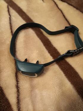 Petsafe Rfa-577 Dog Collar Receiver Only