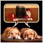 Pif00-300 Petsafe Dog Wireless Fence Containment System Full Up To Acre