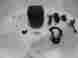 Pifoo-12917 Petsafe Stay Play Wireless Fence