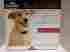 Pirf300 Petsafe Radio Fence Electric Pet Deterrent Indoor System