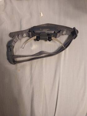 Premier 300yard Pet Dog Training Collar With Remote 300 Yard Effective Range