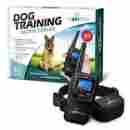 Pt0z1 Pettech Remote-controlled Dog Shock Collar Lifetime Replacement Guarantee 1200 Ft 646437860536