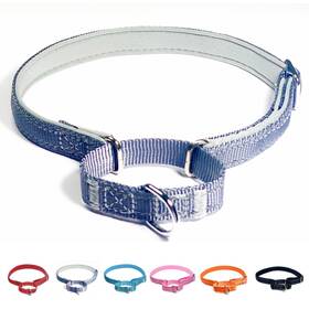 Puroayet 789844255318 Martingale Dog Collars Reflective Safety Puppy Collar Adjustable Soft Nylon