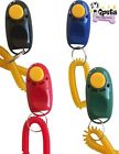 Qpets Clicker 3pcs Lava Inc 609722636032