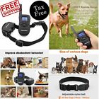 Rad-393 Petsafe In Ground Receiver 701948742204