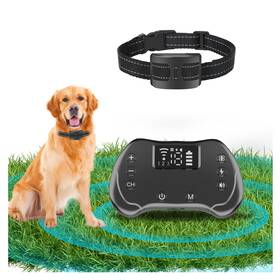 Raydyn 793123993518 Wireless Dog Fence System With Remote Training Electric Ranging Fr