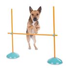 Ref-104a Sportdog Brand Rf-104a Rf104a