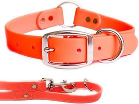 Regal Dog Products 689756140439 Large Orange Waterproof Biothane Collar And Leash Set