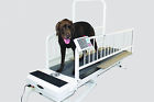 Rehabilitation Petrun Gopet Pr 850 Professional Rehabilation Veterinary Dogtreadmill 853776002576