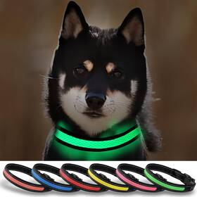 Rouwinne Dc0023-gs Led Small Dog Collar Rechargeable Lighted Collars For Night Flashing Sa