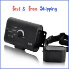 Sc050301-4a1 Unbranded Electronic Pet Dog