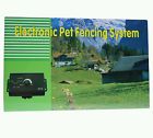 Shock Waterproof Fence Training Electronic Pet 2 Yard Dog Collar Predator System