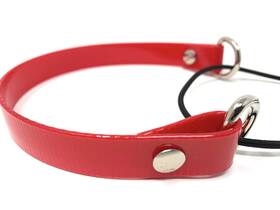 Sparky Pet Co 647369525548 - Ecollar Replacement Strap Bungee Dog Collar Waterproof
