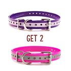 Spc Sparky Petco 3-4 1