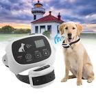 Th03bpzk174275601zk174275602zk174275603 Unbranded-generic No-wire 1-2-3 Dog