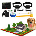 Th05tbzi0850003 Unbranded Underground Electric Dog