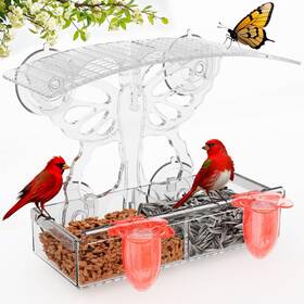 Thywlzz Cy Wlq 0001 Clear Window Bird Feeders With Strong Suction Cups Butterfly-shaped Acrylic W