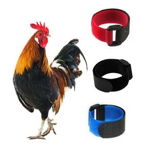 Tkocisa 782896817978 3 Pack No Crow Rooster Collar Chicken Anti-hook Noise Free Neckband N