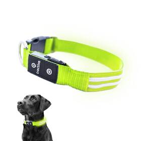 Tractive 120056451562 Led Light Up Dog Collar Usb Rechargeable Waterproof Green