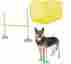 Vbg567 Indoor Agility Kyjen Kit 7 Piece Set For Dogs Exercise Interactive Fun