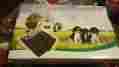W227b3 Cwd-ht-11587 Cwd Underground Waterproof Rechargeable Electric Pet Dog Fence Training System 3