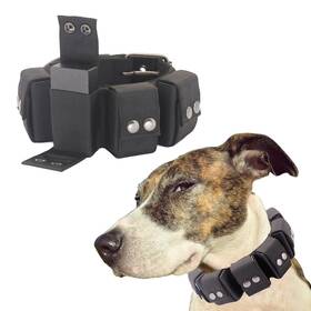 Walktime 777723056743 Tactical Weighted Dog Collar - Weights For Training And Exercise Small Mediu