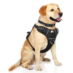 Winsee Wus01-dh001-1bl-aj Dog Harness No Pull Pet Harnesses With Collar Adjustable Reflect