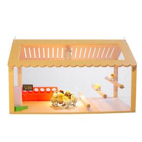Wionbe 750219925587 Intelligent Brooder Chicken Coop Suit 30-40 Newborns Chicks Birds Parakeet Inch