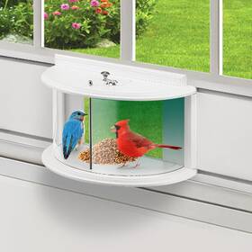 Yorking Wbd01 Window Bird Feeder 180 Clear Feeders For Viewing Insi