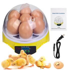 Kca0016 Zemiro Charge 7-egg Incubator 360 View Poultry With Manual Temperature Control