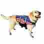 Zf1300 Pawz Pet Products Nylon Dog Life Jacket Small American Flag Reflective Strips Saver