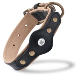 Filbert Dog With Holder, Collar, Leather. Fixed Price $39.99.