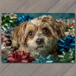 Art Print Small Dog Portrait Colorful Bows Expressive Eyes. Fixed Price $11.99.