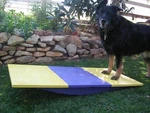 Dog Agility Equipment Rocker/ Wobble Teeter Board. Fixed Price $165.00.