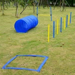 Backyard Competitive Dog Agility Training Kit Obstacle Course Equipment. Fixed Price $53.99.