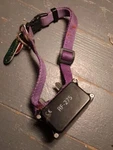 Petsafe Stubborn Dog Inground Fence Receiver Collar RF-275 Containment. Fixed Price $47.24.