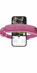 Halo Collar 5: Wireless Dog Fence & Gps Tracker With App-controlled Boundaries. Fixed Price $465.00.