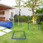 Backyard Dog Agility Training Kit Obstacle Course Equipment Jumps Tunnel. Fixed Price $64.95.