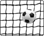 10 X 30FT Soccer Backstop Net For Goal, High Impact Sports Practice Ba.... Fixed Price $108.12.