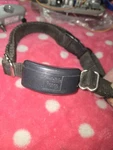 Invisible Fence R21 Receiver Collar 700 Series *blck*. Fixed Price $145.00.