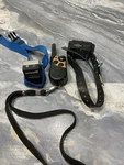Petsafe FR-200P Collar Ft 100P Remote. Fixed Price $30.00.