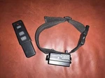 Petsafe Radio Systems Shock Collar & Remote Control From Black. Fixed Price $14.00.