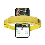 Wireless Dog Fence Gps Collar App Controlled Real Time Tracking Sunburst Halo. Fixed Price $812.99.