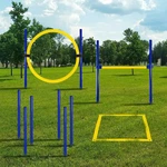 Dog Agility Training Equipment, Obstacle Course, Exercise Fun For Pets (y.... Fixed Price $59.62.