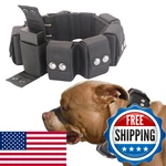 Walktime Tactical Weighted Dog Collar - Weights For Training Exercise Small. Fixed Price $125.86.
